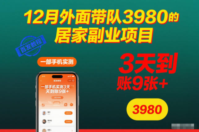 12月外面带队3980的居家副业项目，一部手机实测3天到账9张+，首发教程【揭秘】-森焱资源库