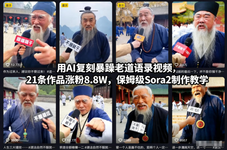 用AI复刻暴躁老道语录视频，21条作品涨粉8.8W，保姆级Sora2制作教学-森焱资源库