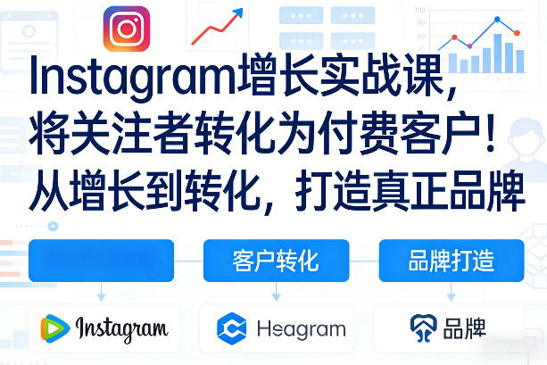 Instagram增长实战课，将关注者转化为付费客户！从增长到转化，打造真正品牌（双语字幕）-森焱资源库