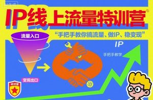 IP线上流量特训营，手把手教你搞流量、做IP、稳变现-森焱资源库