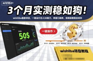3个月实测稳如狗！wishlba最新项目，一键运行日入50美刀，单窗口躺挣，保姆级教程全给你【揭秘】-森焱资源库
