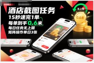 酒店截图任务,15秒速完1单,每单到手0.6米,每日任务无上限,全网首发玩法,矩阵操作单日3张【揭秘】-森焱资源库