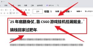 25年底翻身仗,靠CSGO游戏挂G捡漏掘金,搞钱回家过肥年【揭秘】-森焱资源库
