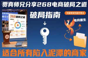 贾真师兄分享268电商破局之道-适合所有陷入泥潭的商家-森焱资源库