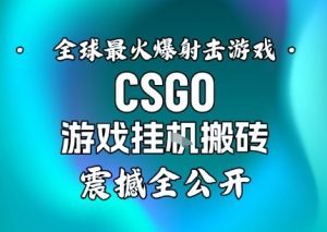 【年底大揭秘】基于全球最火爆的射击CSGO游戏挂G搬砖，日入5张+，震撼公开-森焱资源库
