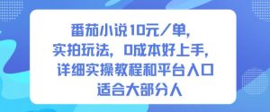 番茄小说10米每单，实拍玩法，0成本好上手，详细实操教程和平台入口适合大部分人-森焱资源库