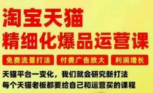 淘宝天猫精细化爆品运营课,免费流量打法-付费广告放大-利润增长-三大核心痛点,一次全部解决-森焱资源库