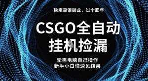 【稳定副业】全球最热门游戏CSGO全自动捡漏，最新玩法，新手小白日入5张+【揭秘】-森焱资源库