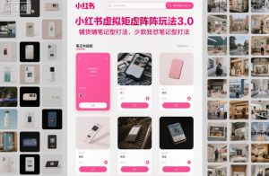小红书虚拟矩阵玩法3.0,铺货铺笔记型打法,少款狂怼笔记型打法-森焱资源库