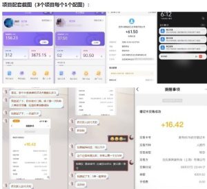 当天能收益的3个小项目拆解_包括平台+操作流程-森焱资源库