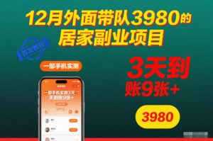 12月外面带队3980的居家副业项目，一部手机实测3天到账9张+，首发教程【揭秘】-森焱资源库