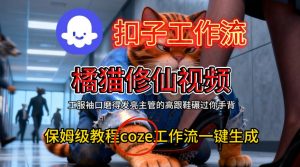 Coze扣子工作流一键生成橘猫修仙视频，保姆级搭建教程-森焱资源库