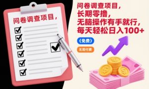 问卷调查项目，长期零撸，无脑操作有手就行，每天轻松日入100+【揭秘】-森焱资源库