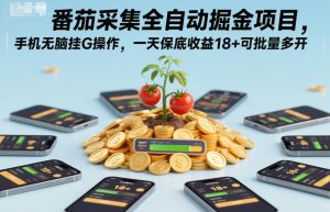 番茄采集全自动掘金项目，手机无脑挂G操作，一天保底收益18+可批量多开【揭秘】-森焱资源库