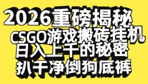 2026开年重磅解密,CSGO游戏搬砖挂G日入1k+的秘密,把倒狗的底裤扒干【揭秘】-森焱资源库