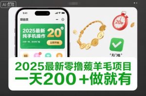 2025最新零撸薅羊毛项目，纯手机操作，20秒一单，无任何门槛，一天200+做就有【揭秘】-森焱资源库