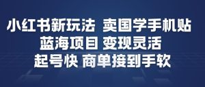 小红书新玩法,卖国学手机贴,蓝海项目,变现灵活,起号快,商单接到手软-森焱资源库