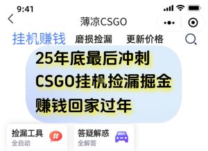 12月年底抓紧最后一个月,用CSGO游戏挂G捡漏掘金賺钱掘金,一部手机轻松日入5张+【揭秘】-森焱资源库