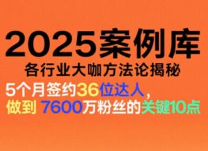 2025案例库,收录各行业大咖的方法论,各行业大咖方法论揭秘-森焱资源库