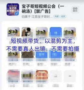宝子哥头部团队短视频带货,以混剪为主,不需要真人出镜,不需要拍摄【更新12月】-森焱资源库
