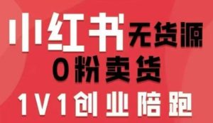 小红书无货源0粉电商课，开店准备、选品策略、笔记撰写、视频剪辑、数据分析、账号打造、资料文档（更新）-森焱资源库