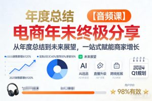 电商年未终极分享，从年度总结到未来展望，一站式赋能商家增长【音频课】-森焱资源库