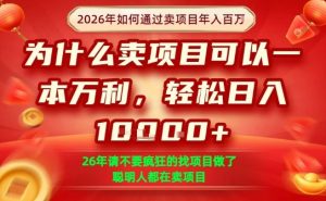 一单净利润1K+，26年想年入100个W，死磕卖项目就够了【揭秘】-森焱资源库